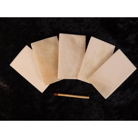 5 x Knochenplatte Rind Platte Rohling Büffelhorn matt geschliffen 80 x25 x4 mm No. 3