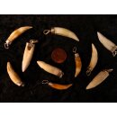 Anhänger echt Madagaskar Krokodilzahn Alligatorzahn unbehandelt mit Silberfassung 40 - 45  mm