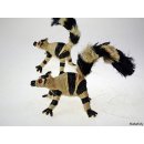 Raphia Lemur 10 cm  Code Z