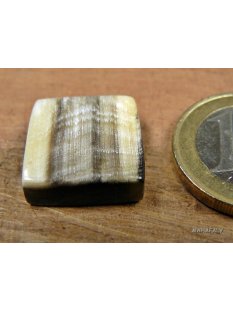 Hornplatten 15 mm in 8 Formen flache Platte Oberfläche poliert