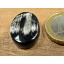Hornplatten 15 mm in 8 Formen flache Platte Oberfläche poliert