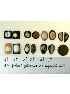 Hornplatten 7 Formen gew&ouml;lbte Platte, Oberfl&auml;che poliert / matt 15 x 15 mm