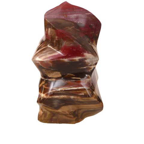 SHS16 Skulptur versteinertes Holz 1705 g 15 x 10 cm