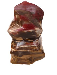 SHS16 Skulptur versteinertes Holz 1705 g 15 x 10 cm