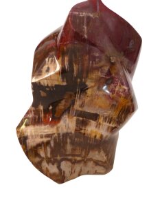 SHS16 Skulptur versteinertes Holz 1705 g 15 x 10 cm
