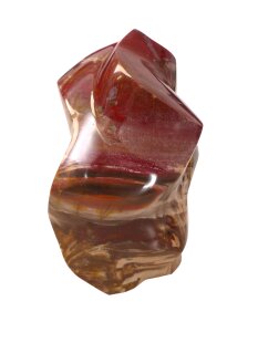 SHS16 Skulptur versteinertes Holz 1705 g 15 x 10 cm