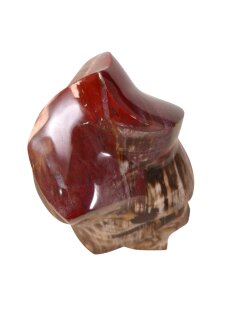 SHS16 Skulptur versteinertes Holz 1705 g 15 x 10 cm