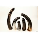Horn Phallusskulptur und Dildo. 18 bis 20 cm = Code D glänzend poliert