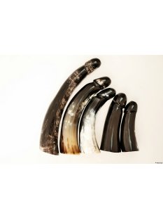 Horn Phallusskulptur und Dildo. 21 bis 24 cm = Code E gl&auml;nzend poliert