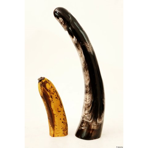 Horn Phallusskulptur und Dildo 24 bis 27 cm = Code F gl&auml;nzend poliert