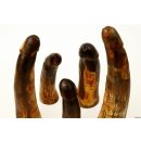 Horn Phallusskulptur und Dildo 12 bis 15 cm = Code B seidenmatt natur