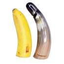 Horn Phallusskulptur und Dildo mit Gürtelschlitz. 18 bis 20 cm = Code D glänzend poliert