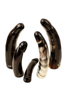 Horn Phallusskulptur und Dildo mit Gürtelschlitz. 21 bis 24 cm = Code E glänzend poliert