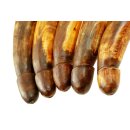 Horn Phallusskulptur und Dildo mit Gürtelschlitz. 18 bis 20 cm = Code D seidenmatt natur