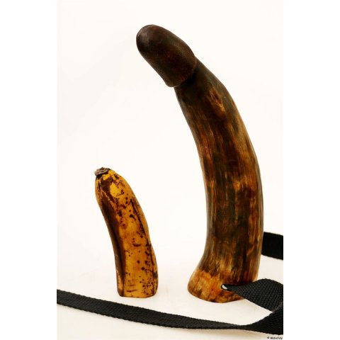 Horn Phallusskulptur und Dildo mit Gürtelschlitz. 24 bis 27 cm = Code F seidenmatt natur