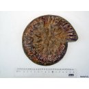 AM01 Ammonit Querschnitt D 160 mm allseitig poliert 740 g