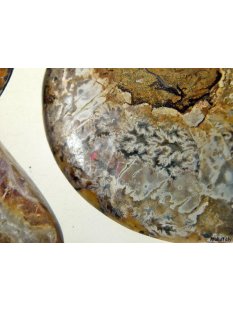 AM02 Ammoniten Paar D 160 mm allseitig poliert 740 g