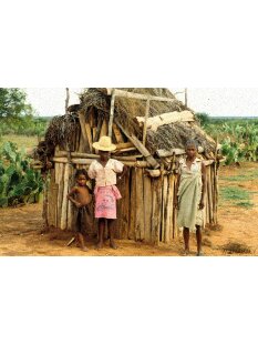 MF181 original AloAlo Grabstele der Mahafaly antik Hirte mit Zebu 250 cm ca. 1920