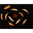 Anhänger echt Madagaskar Krokodilzahn Alligatorzahn unbehandelt mit Silberfassung 30 - 35  mm