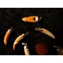 Anhänger echt Madagaskar Krokodilzahn Alligatorzahn unbehandelt mit Silberfassung 30 - 35  mm