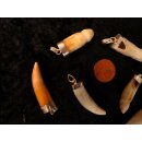 Anhänger echt Madagaskar Krokodilzahn Alligatorzahn dick unbehandelt mit Silberfassung 30 - 40  mm