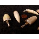 Anhänger echt Madagaskar Krokodilzahn Alligatorzahn dick sehr seltene Größe mit Silberfassung 40 - 45  mm