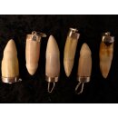 Anhänger echt Madagaskar Krokodilzahn Alligatorzahn dick sehr seltene Größe mit Silberfassung 40 - 45  mm