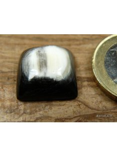Hornplatten gewölbt 15 x 15 mm Halbmond glänzend poliert
