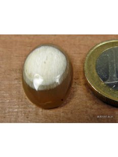 Hornplatten gewölbt 15 x 15 mm Halbmond matter Feinschliff