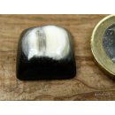 Hornplatten gewölbt 15 x 15 mm quadratisch matter Feinschliff