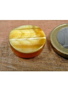Hornplatten poliert flach 15 x 15 mm oval