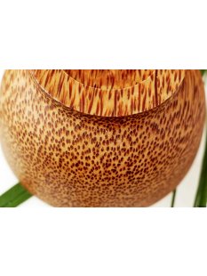 Vietnam Kokosholz Schale Songla D: 12 cm = Code B