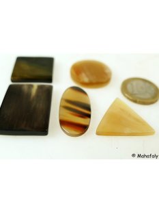 Hornplatten 4 Formen poliert 25 mm einfarbig/2. Qualität - 50 %
