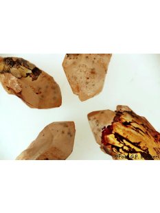 Bergkristall mit Hollandit Sternenquarz 1 Stück ca. 20 - 30 g
