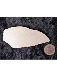 Fragment vom größten Ei der Welt ! Aepyornis maximus Elefantenvogel Ei Lot Nr.1