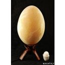 1 Fragment Nr. 01 vom größten Ei der Welt ! Aepyornis maximus Elefantenvogel Ei aus Madagaskar