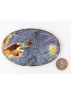 Hornplatten100 x 70 mm oval seidenmatt poliert