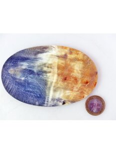 Hornplatten100 x 70 mm oval seidenmatt poliert