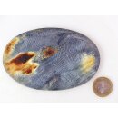 Hornplatten100 x 70 mm oval seidenmatt poliert