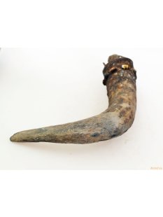 Zauberhorn Mohara ody Nr.11 Amulett und Fetisch der Sakalava 43 cm ca. 1950