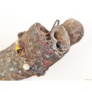 Zauberhorn Mohara ody Nr.11 Amulett und Fetisch der Sakalava 43 cm ca. 1950