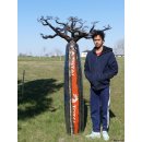 &Ouml;lfass Blech Deko Baobab 180 cm Flaschenform