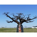 Ölfass Blech Deko Baobab 180 cm Flaschenform
