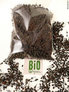 Bourbon Pfeffer, wilder Urwaldpfeffer, Ernte 2025, beste...