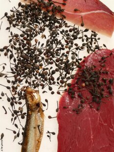 Bourbon Pfeffer, wilder Urwaldpfeffer, Ernte 2025, beste Auslese,Voatsiperifery 100 Gramm =      8,00 €