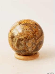 K130  fossiles und versteinertes Holz silifiziert Kugel Madagaskar  590 Gr. D 75 mm