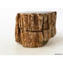 SHN23 versteinertes Holz Stamm naturbelassen Oberseite poliert 1773 g