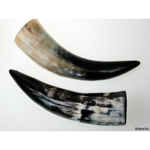 Zier- und Trinkhorn gemasert 25 cm 1A Qualität 0,2 bis 0,29 Liter = Code B