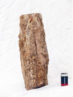 SHN26 versteinertes Holz Stamm naturbelassen Oberseite poliert 6550 g