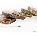 SHL165 versteinertes Holz 5 x beidseitig polierte Scheiben 395 g D: 90  mm